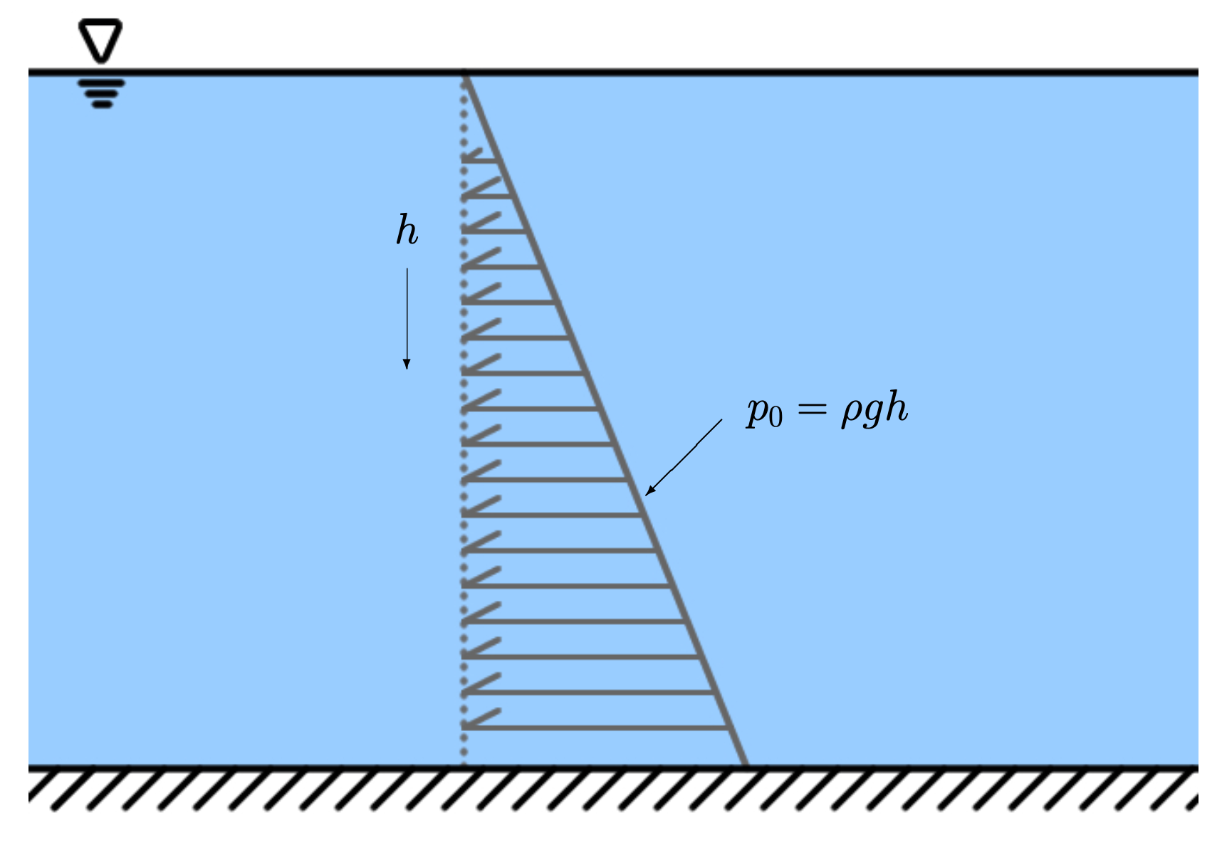 A cartoon. The top part is white, but most of the cartoon is blue to represent water. There is a line that starts at the top of the water and slants down and to the right until it gets to the bottom of the water. Arrows point left from the slanted line to a dashed vertical line. The arrows near the top of the water are small, and the size of the arrows increase as they approach the bottom of the water.