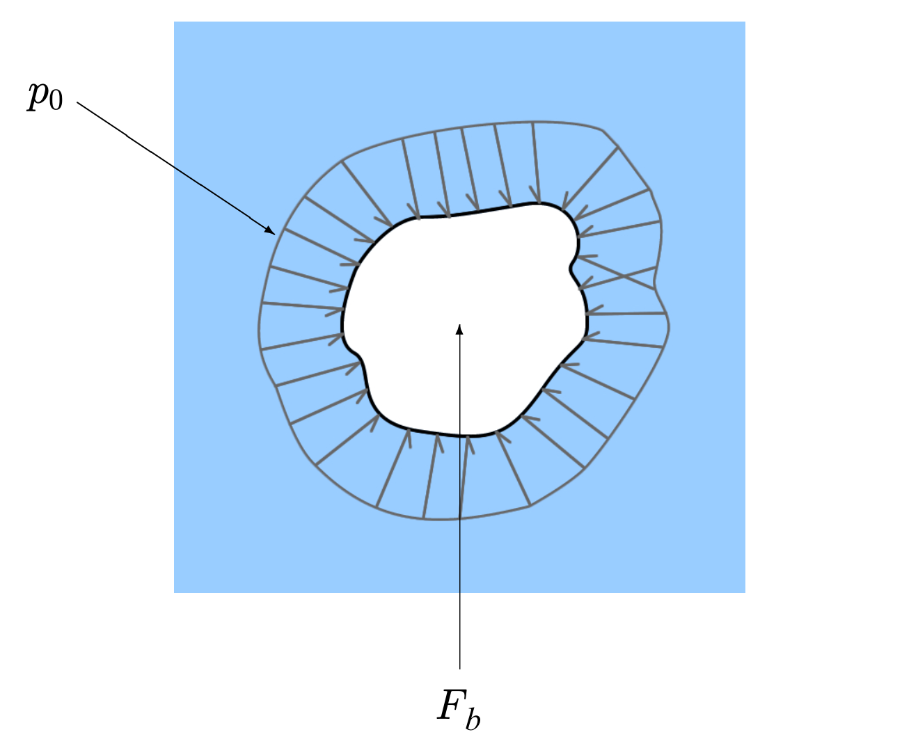 A cartoon. A blue background represents water. An irregularly shaped blob in white is in the middle of the blue area. Small arrows point towards the blob from all directions. The arrows are perpendicular to the blobs surface. The arrows near the top of the blob are smaller than the arrows near the bottom of the blob. A label of p_0 indicates the arrows represent the hydrostatic pressure. A large arrow points directly up at the center of the blob. This arrow is labeled F_b indicating the direction of the buoyant force is up.