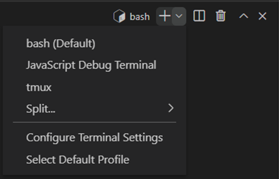 A screen capture of the corner terminal menu in VS Code with other options for terminals besides bash.